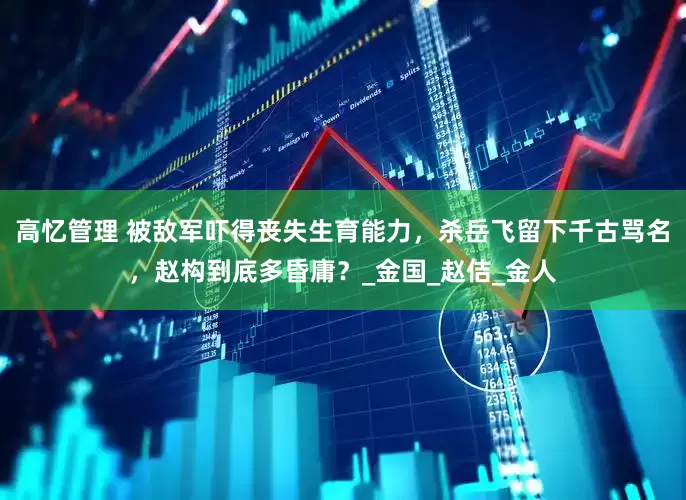 高忆管理 被敌军吓得丧失生育能力，杀岳飞留下千古骂名，赵构到底多昏庸？_金国_赵佶_金人