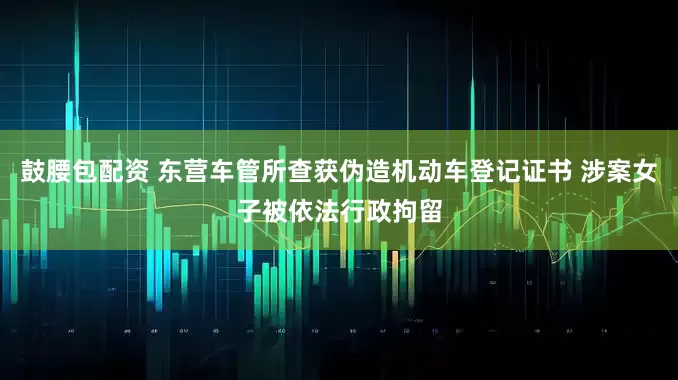 鼓腰包配资 东营车管所查获伪造机动车登记证书 涉案女子被依法行政拘留